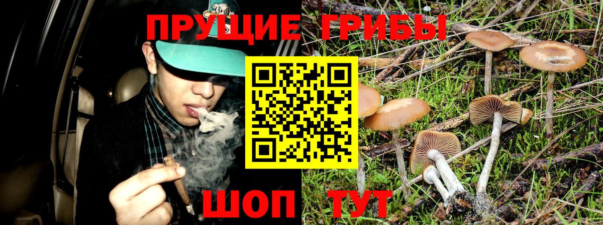 Дюртюли  Галлюциногенные грибы Magic Shrooms  Галлюциногенные грибы ЛСД  Вход с VPN 