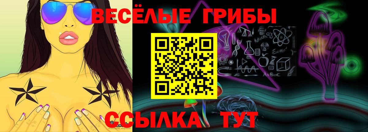 Псилоцибиновые грибы прущие грибы Дюртюли